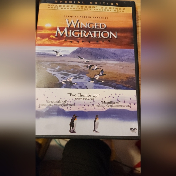 BBC Video DVD Set - Picture 9 of 16